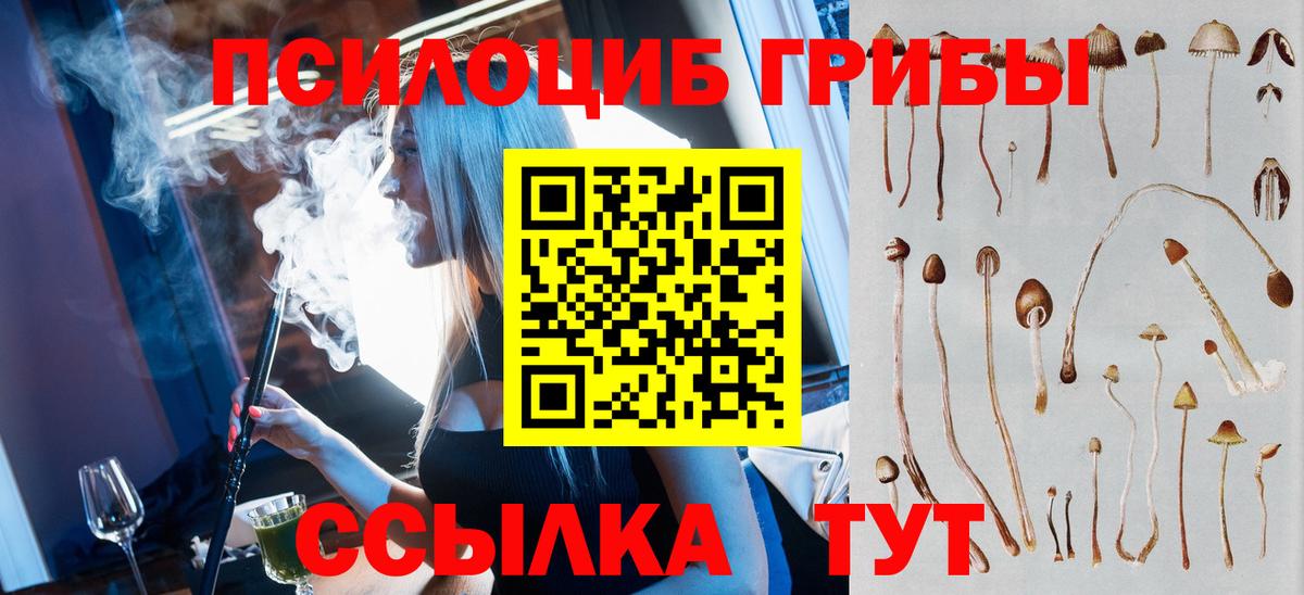 Псилоцибиновые грибы GOLDEN TEACHER Жуковский