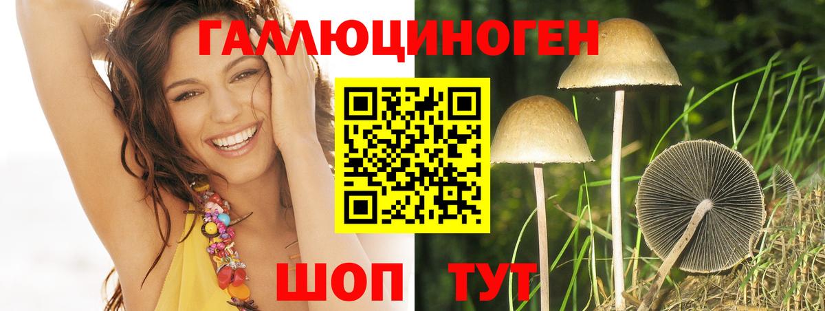 Галлюциногенные грибы Cubensis  Псилоцибиновые грибы прущие грибы  Вход с VPN  Жуковский 